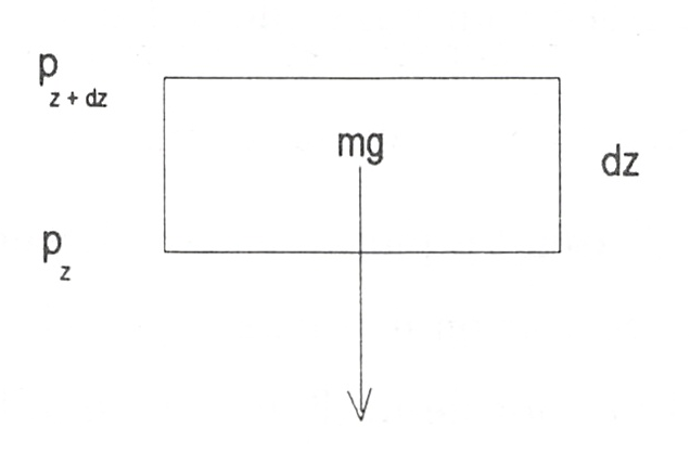Elemento de columna de fluido en el campo gravitatorio